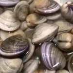 蛤蜊的相关食谱2021 蛤蜊的食用禁忌