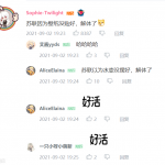 网络流行语科普 苏联因为壁纸没贴好，解体了什么意思？
