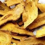 虎杖的功效和作用 虎杖的禁忌2021