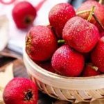 山楂的功效和作用2021 山楂的禁忌