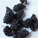 桑葚干的功效和作用2021 桑葚干的功效和作用及禁忌