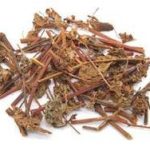 杠板归的功效和作用2021 杠板归的副作用