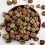 草寇的功效和作用2021 草寇的食用方法