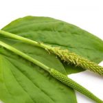 睡不着原因有多种 肝火旺也是其中一种