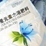 花卉养殖小课堂：金钻怎么施肥 施什么肥?