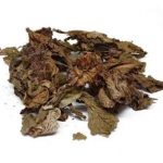 独一味有消炎作用吗 独一味的功效与作用2021