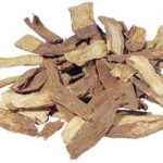 续断有什么作用和功效 续断有什么作用