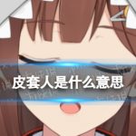 网络流行语科普时间到 皮套人是什么意思？