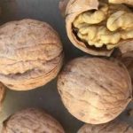 野核桃仁禁忌2021 野核桃仁的功效与作用及禁忌