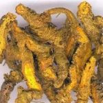 黄连的副作用 黄连的食用禁忌