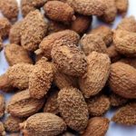 砂仁的功效和作用 砂仁的应用