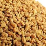 葫芦巴有什么作用 葫芦巴的功效与作用