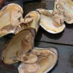 蚌肉的功效和作用 蚌肉的功效和作用及禁忌