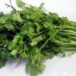 吃香菜有哪些好处2021 哪一类人不适合吃香菜