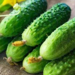 妃子生孩子后乾隆赏赐两根黄瓜 妃子见到为什么非常激动