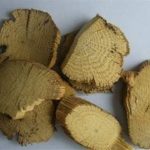 川木通有毒吗 川木通的功效和作用