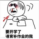 永夜抄什么意思？ 这梗意为“在永远的夜晚中抄作业”
