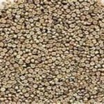 冬葵的营养价值2021 冬葵的适宜和禁忌