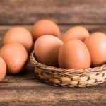 鸡子的禁忌 鸡子的功效与作用及禁忌