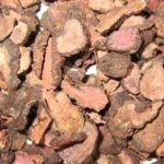 拳参的用法用量 拳参的附方