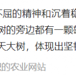 你喜欢银杏吗什么意思？ 这梗可用于暗戳戳表白