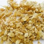 薤白的功效与作用 薤白的药理作用