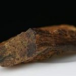 沉香的功效和作用 沉香的功效和作用及禁忌