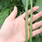 吹空调皮肤容易干 6种食物能保护皮肤