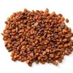 胡芦巴有什么功效 胡芦巴的作用和功效