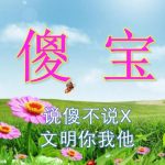 网络流行语科普 傻宝什么意思？