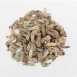 白及有什么功效 白及的功能与主治