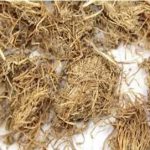 糯稻根须的功效与作用及禁忌症-糯稻须的禁忌