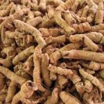 巴戟天的用量是多少克 巴戟天的用法用量