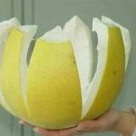 柚子皮煮水的功效和作用 柚子皮煮水是否止咳2021