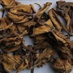 栀子花根的禁忌人群，栀子花根的禁忌