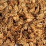 原蚕蛾的禁忌 原蚕蛾的副作用2021