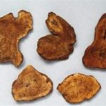 白木的功效和作用 白木的禁忌