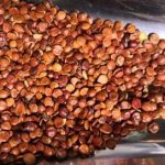 酸枣仁的食用方法 酸枣人的用法用量