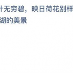 接天莲叶无穷碧描写的是哪个湖的美景 西湖美景历来是文人墨客描绘的对象