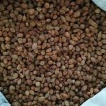 益智仁的用量 益智仁的用法与用量2021