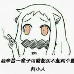 我辛苦一辈子可能都买不起两个塑料小人什么意思？ 戳这里涨姿势