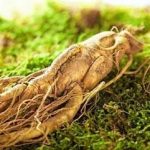 人参怎么吃 人参的禁忌