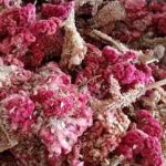 鸡冠花的作用和功效 鸡冠花怎么吃