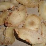 天南星有毒吗 天南星的功效和作用