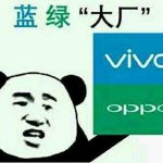 蓝绿大厂是什么意思？一头雾水的你进来涨涨姿势