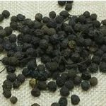 澄茄子的功效与作用 澄茄子的别名叫什么