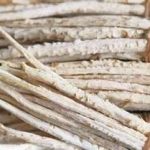 南沙参有副作用吗 南沙参的副作用及禁忌