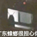 广东蟑螂很担心你什么意思？ 一头雾水的你进来涨涨姿势