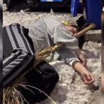 酒后行为艺术家说明意思？ 一脸懵逼的你进来涨涨姿势