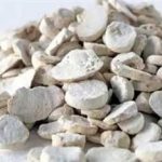 半夏的炮制方法2021 半夏的食用方法
